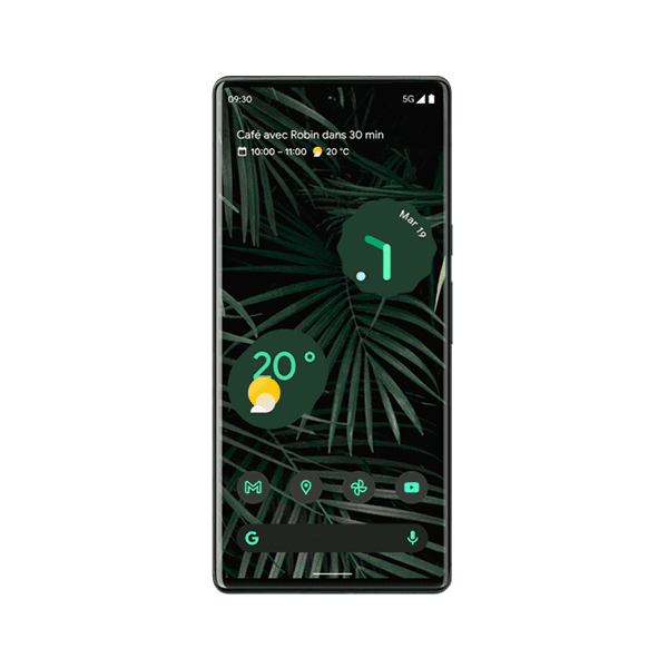 Google Pixel 6 Pro
